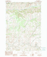 Ritter Oregon Historical topographic map, 1:24000 scale, 7.5 X 7.5 Minute, Year 1990