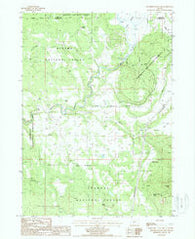 Riverbed Butte Spring Oregon Historical topographic map, 1:24000 scale, 7.5 X 7.5 Minute, Year 1988