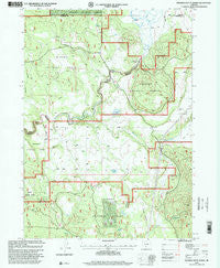 Riverbed Butte Spring Oregon Historical topographic map, 1:24000 scale, 7.5 X 7.5 Minute, Year 1998