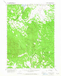 Riverbed Butte Oregon Historical topographic map, 1:62500 scale, 15 X 15 Minute, Year 1960