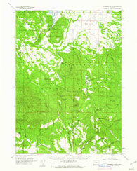 Riverbed Butte Oregon Historical topographic map, 1:62500 scale, 15 X 15 Minute, Year 1960