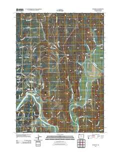 Riverton Oregon Historical topographic map, 1:24000 scale, 7.5 X 7.5 Minute, Year 2011