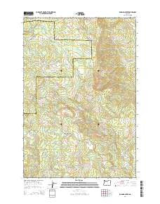Roaring Creek Oregon Current topographic map, 1:24000 scale, 7.5 X 7.5 Minute, Year 2014