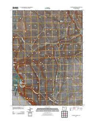 Roaring Springs Oregon Historical topographic map, 1:24000 scale, 7.5 X 7.5 Minute, Year 2011