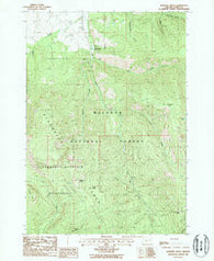 Roberts Creek Oregon Historical topographic map, 1:24000 scale, 7.5 X 7.5 Minute, Year 1988