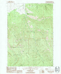Roberts Creek Oregon Historical topographic map, 1:24000 scale, 7.5 X 7.5 Minute, Year 1988