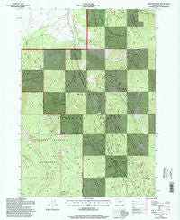 Roberts Creek Oregon Historical topographic map, 1:24000 scale, 7.5 X 7.5 Minute, Year 1996