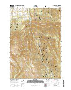Roberts Creek Oregon Current topographic map, 1:24000 scale, 7.5 X 7.5 Minute, Year 2014