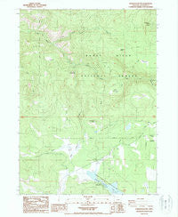Robinson Butte Oregon Historical topographic map, 1:24000 scale, 7.5 X 7.5 Minute, Year 1988