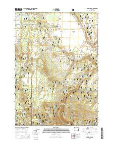 Rodman Rock Oregon Current topographic map, 1:24000 scale, 7.5 X 7.5 Minute, Year 2014