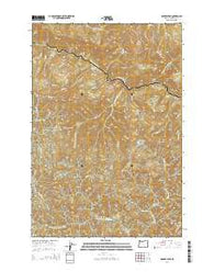 Rogers Peak Oregon Current topographic map, 1:24000 scale, 7.5 X 7.5 Minute, Year 2014