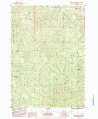 Roman Nose Mtn Oregon Historical topographic map, 1:24000 scale, 7.5 X 7.5 Minute, Year 1984