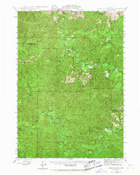 Roman Nose Mtn Oregon Historical topographic map, 1:62500 scale, 15 X 15 Minute, Year 1942