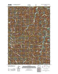 Roman Nose Mountain Oregon Historical topographic map, 1:24000 scale, 7.5 X 7.5 Minute, Year 2011