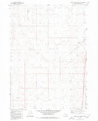 Rome State Airport Oregon Historical topographic map, 1:24000 scale, 7.5 X 7.5 Minute, Year 1980