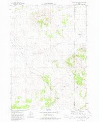 Round Top Butte Oregon Historical topographic map, 1:24000 scale, 7.5 X 7.5 Minute, Year 1980