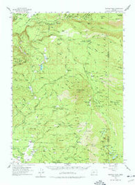 Rustler Peak Oregon Historical topographic map, 1:62500 scale, 15 X 15 Minute, Year 1955