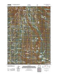 Rustler Peak Oregon Historical topographic map, 1:24000 scale, 7.5 X 7.5 Minute, Year 2011