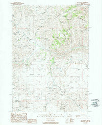 Rye Valley Oregon Historical topographic map, 1:24000 scale, 7.5 X 7.5 Minute, Year 1988