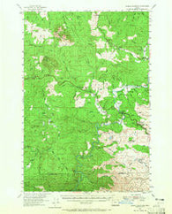Saddle Mountain Oregon Historical topographic map, 1:62500 scale, 15 X 15 Minute, Year 1955