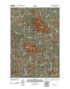 Saddle Mountain Oregon Historical topographic map, 1:24000 scale, 7.5 X 7.5 Minute, Year 2011