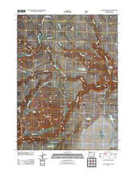 Sage Hen Butte Oregon Historical topographic map, 1:24000 scale, 7.5 X 7.5 Minute, Year 2011