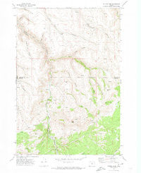 Salmon Fork Oregon Historical topographic map, 1:24000 scale, 7.5 X 7.5 Minute, Year 1970