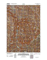 Salmon Fork Oregon Historical topographic map, 1:24000 scale, 7.5 X 7.5 Minute, Year 2011