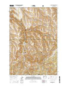 Salmon Fork Oregon Current topographic map, 1:24000 scale, 7.5 X 7.5 Minute, Year 2014
