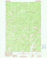 Salt Butte Oregon Historical topographic map, 1:24000 scale, 7.5 X 7.5 Minute, Year 1990