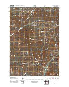 Salt Butte Oregon Historical topographic map, 1:24000 scale, 7.5 X 7.5 Minute, Year 2011