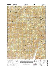 Salt Butte Oregon Current topographic map, 1:24000 scale, 7.5 X 7.5 Minute, Year 2014