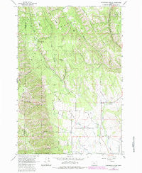 Sanderson Spring Oregon Historical topographic map, 1:24000 scale, 7.5 X 7.5 Minute, Year 1963