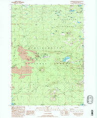 Santiam Junction Oregon Historical topographic map, 1:24000 scale, 7.5 X 7.5 Minute, Year 1988