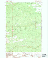 Sawmill Butte Oregon Historical topographic map, 1:24000 scale, 7.5 X 7.5 Minute, Year 1988