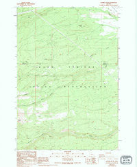 Sawmill Butte Oregon Historical topographic map, 1:24000 scale, 7.5 X 7.5 Minute, Year 1988