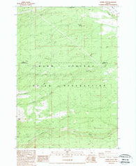 Sawmill Butte Oregon Historical topographic map, 1:24000 scale, 7.5 X 7.5 Minute, Year 1988