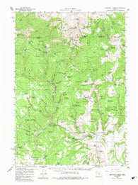 Sawtooth Creek Oregon Historical topographic map, 1:62500 scale, 15 X 15 Minute, Year 1959
