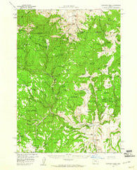 Sawtooth Creek Oregon Historical topographic map, 1:62500 scale, 15 X 15 Minute, Year 1959