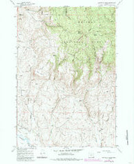 Sawtooth Ridge Oregon Historical topographic map, 1:24000 scale, 7.5 X 7.5 Minute, Year 1967