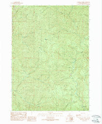 Scaredman Creek Oregon Historical topographic map, 1:24000 scale, 7.5 X 7.5 Minute, Year 1989