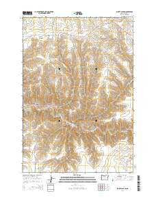 Schott Canyon Oregon Current topographic map, 1:24000 scale, 7.5 X 7.5 Minute, Year 2014