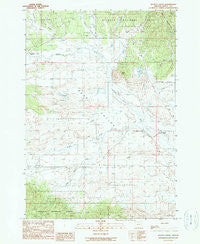 Scotty Creek Oregon Historical topographic map, 1:24000 scale, 7.5 X 7.5 Minute, Year 1990