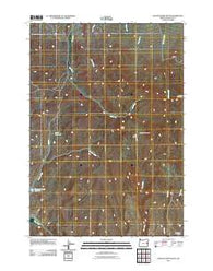 Scratch Post Butte Oregon Historical topographic map, 1:24000 scale, 7.5 X 7.5 Minute, Year 2011