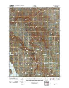 Selle Gap Oregon Historical topographic map, 1:24000 scale, 7.5 X 7.5 Minute, Year 2011