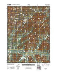 Selma Oregon Historical topographic map, 1:24000 scale, 7.5 X 7.5 Minute, Year 2011