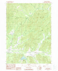 Selma Oregon Historical topographic map, 1:24000 scale, 7.5 X 7.5 Minute, Year 1989