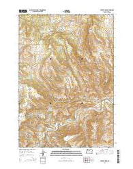 Service Creek Oregon Current topographic map, 1:24000 scale, 7.5 X 7.5 Minute, Year 2014
