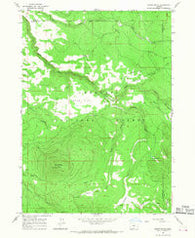 Shake Butte Oregon Historical topographic map, 1:24000 scale, 7.5 X 7.5 Minute, Year 1966