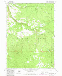 Shake Butte Oregon Historical topographic map, 1:24000 scale, 7.5 X 7.5 Minute, Year 1966